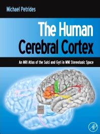 download Cerebral Cortex